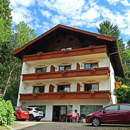 - Pension Adlerhorst Appartamento *