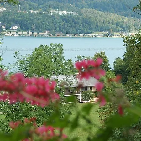 - Pension Adlerhorst Apartment