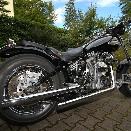- Pension Adlerhorst
